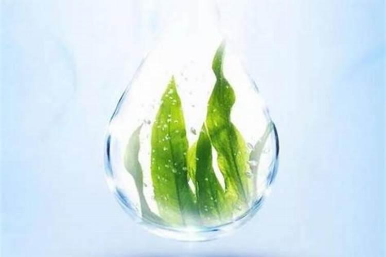 甜菜误喷了二甲四氯钠,用什么可以解毒