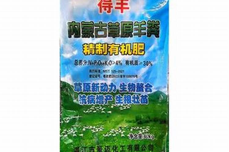 种植大姜怎么施肥好