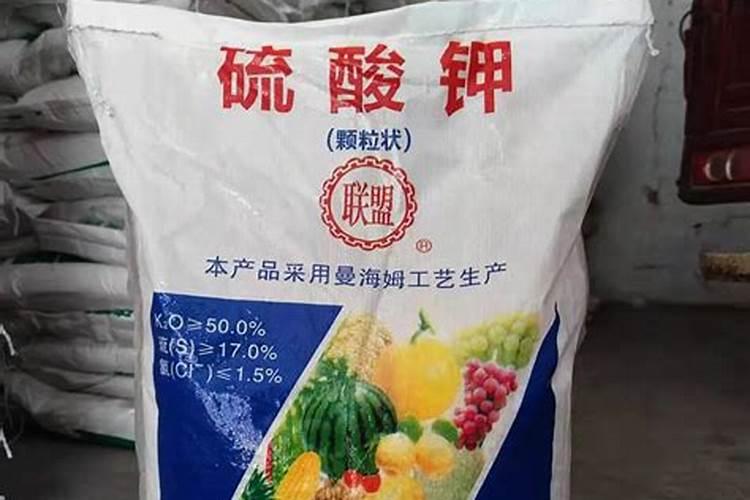 种地瓜用什么肥料最好