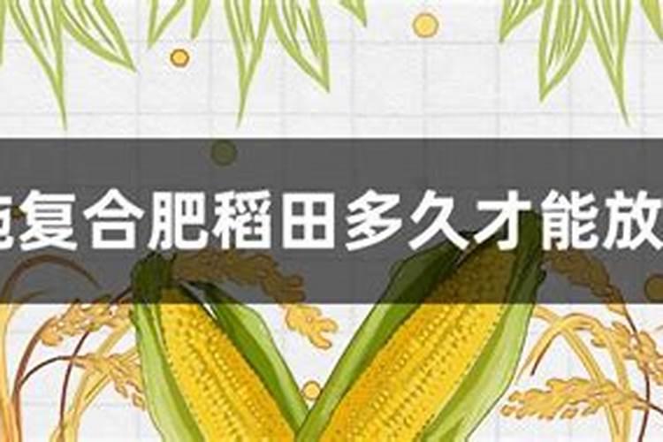 玉米种肥施什么肥好 种玉米用什么肥料最好