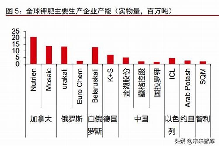 脐橙的营养价值和功效与作用