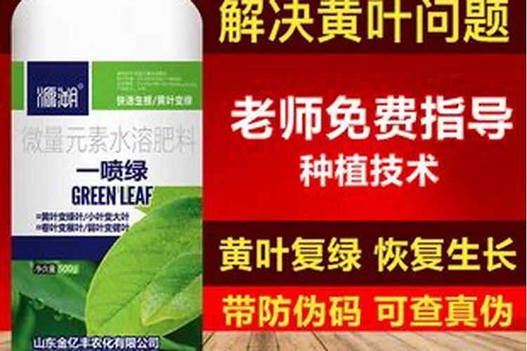 玛菲叶面肥增产效果好不好？