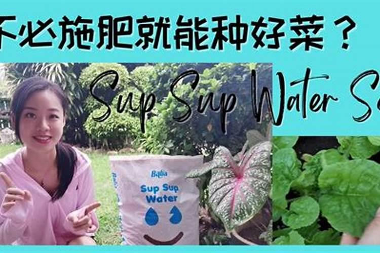 如何施用硼肥