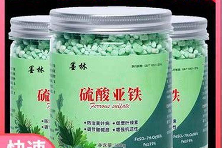 茉莉花施肥用什么肥