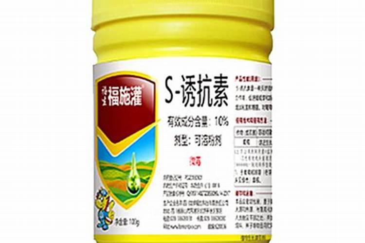 金边吊兰叶子发软下垂原因及补救方法