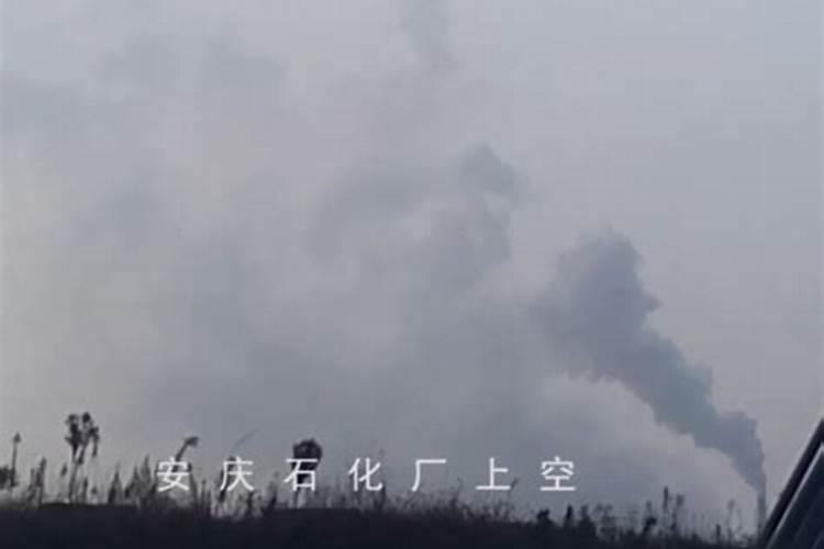 天脊16620硝酸钾水溶肥的批发价格是多少？