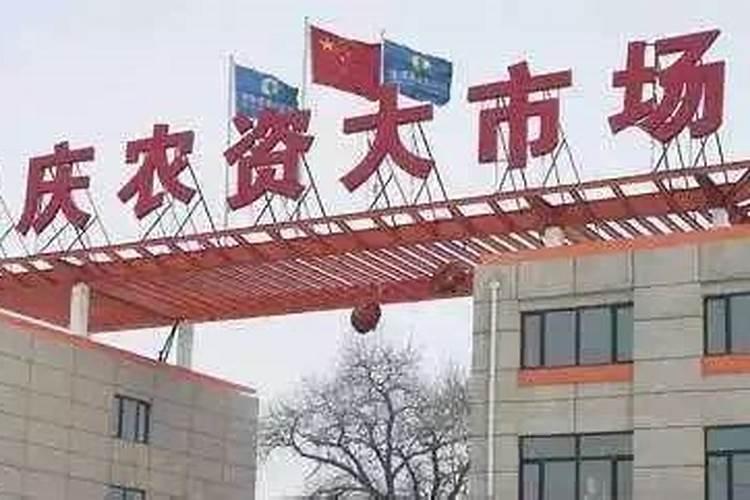 如何选购好用的叶面肥料