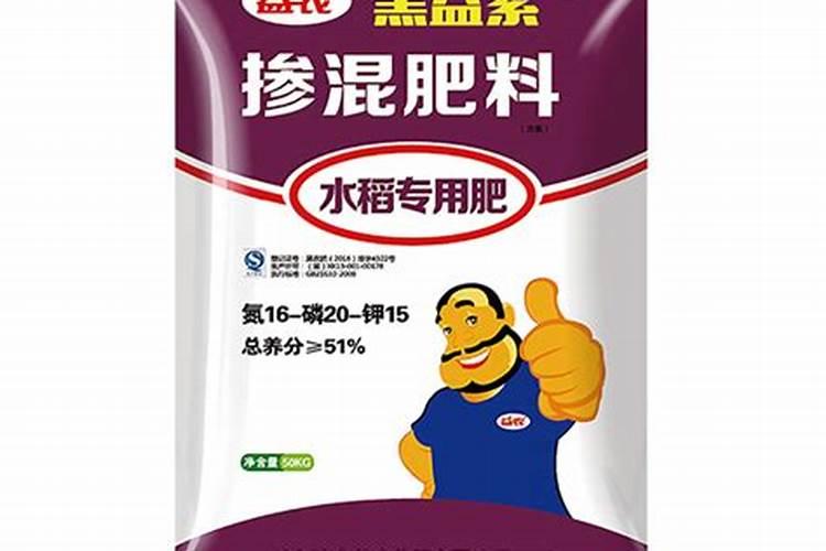 水果玉米的种植方法