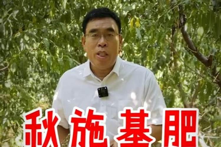 磷肥对果树的作用是什么