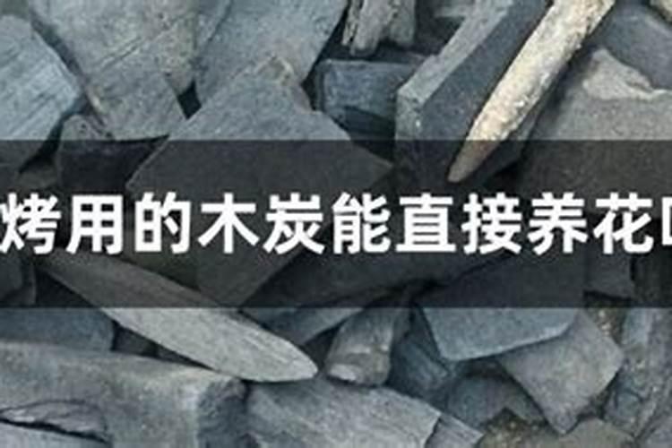 室内炭火能做花肥吗 烧过的木炭可以做花肥吗
