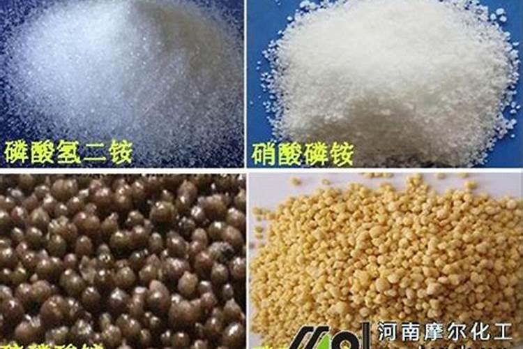 木瓜不结果怎么办