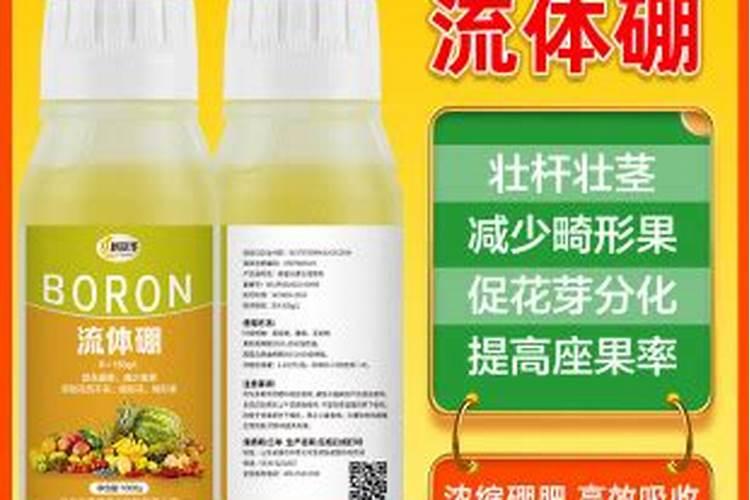 玫瑰施肥过多会怎样？施肥是铺在地表还是埋在土里？