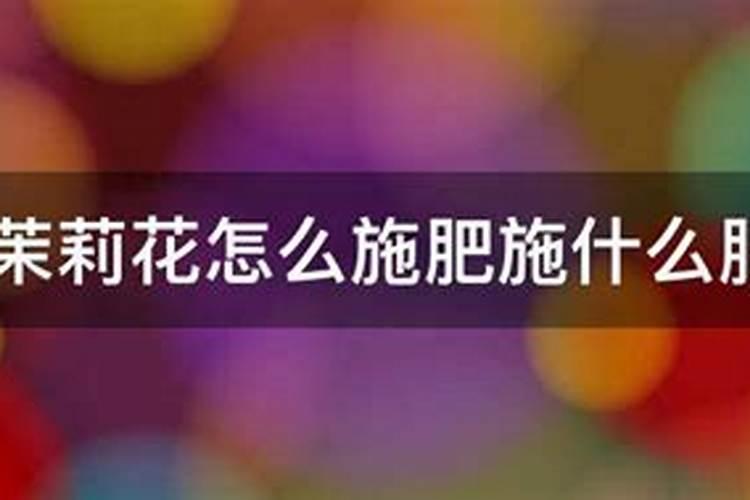 茉莉浇什么肥最好