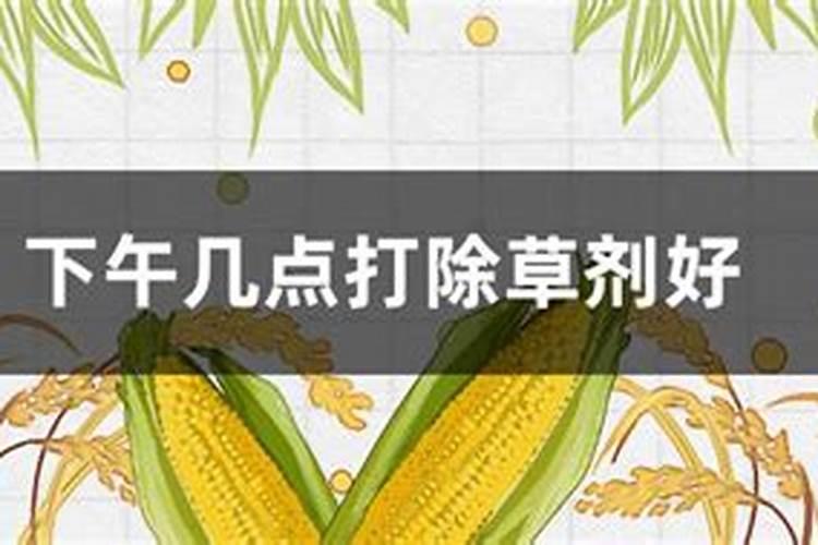 山东泉林嘉有肥料有限责任公司生命源水溶腐植酸20斤一包多少钱