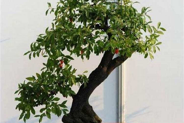 液体氮肥哪个厂家好