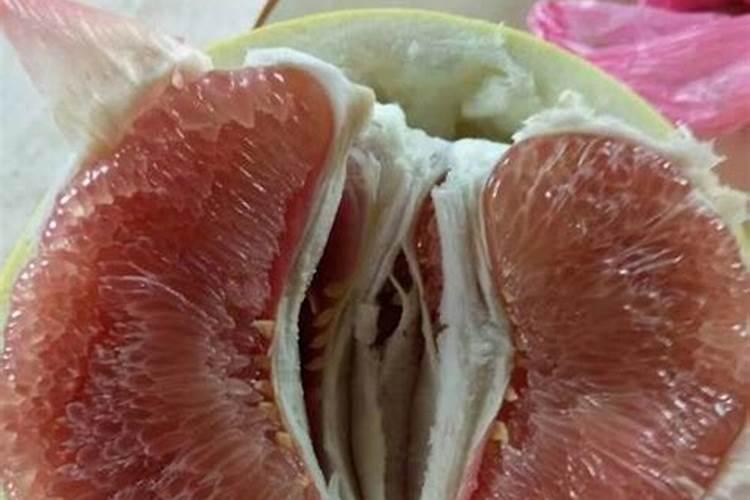 鱼蛋白有什么作用