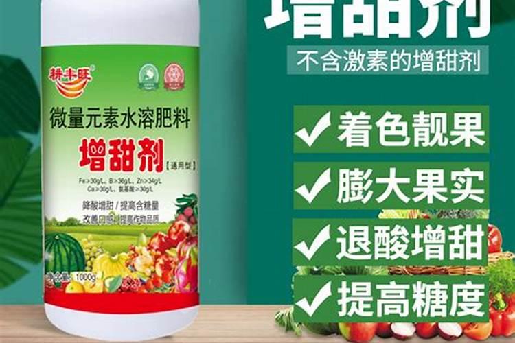 果树增甜打什么药水