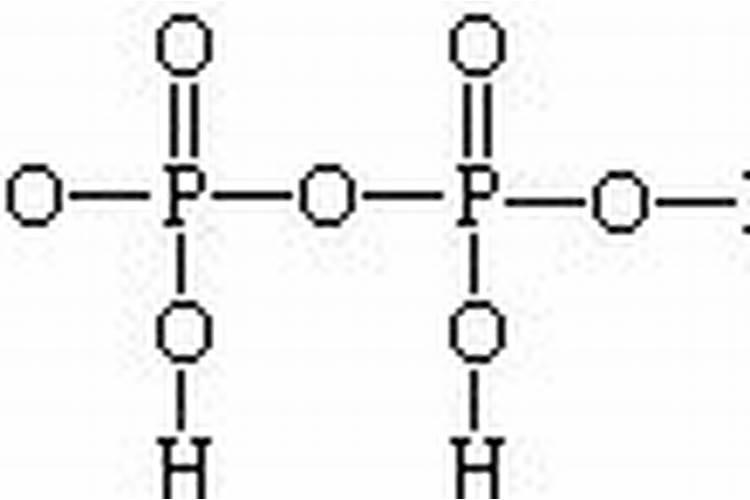 植物磷肥种类有哪些？