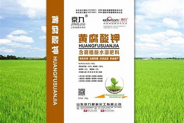 草坪发芽后多久修剪