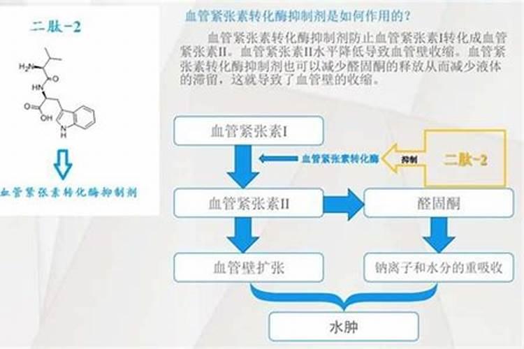 二肽的写法是什么？