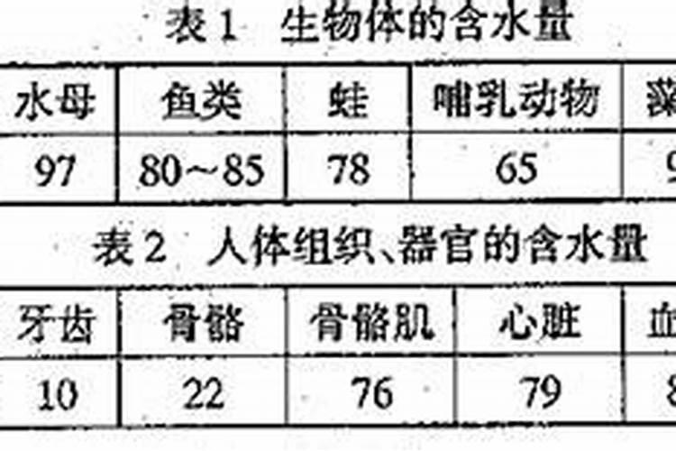 动物体内有没有镁元素