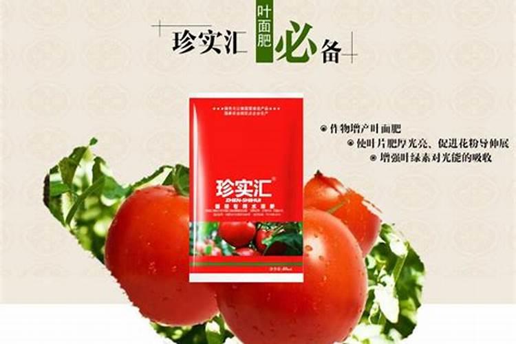 番茄开花阶段使用什么叶面肥效果好？