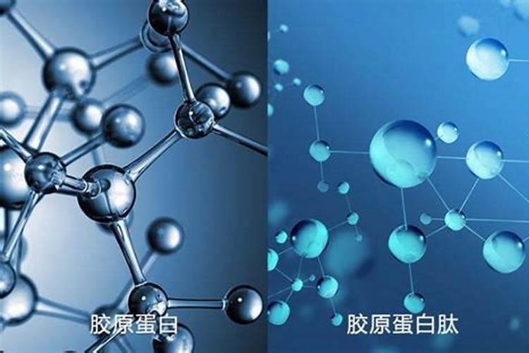 什么是鱼胶原蛋白 鱼胶原蛋白功效大揭秘