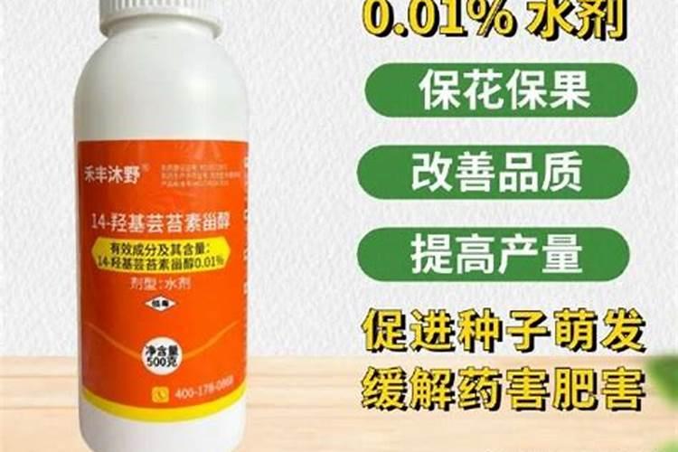 火龙果挂果期需补哪种肥料
