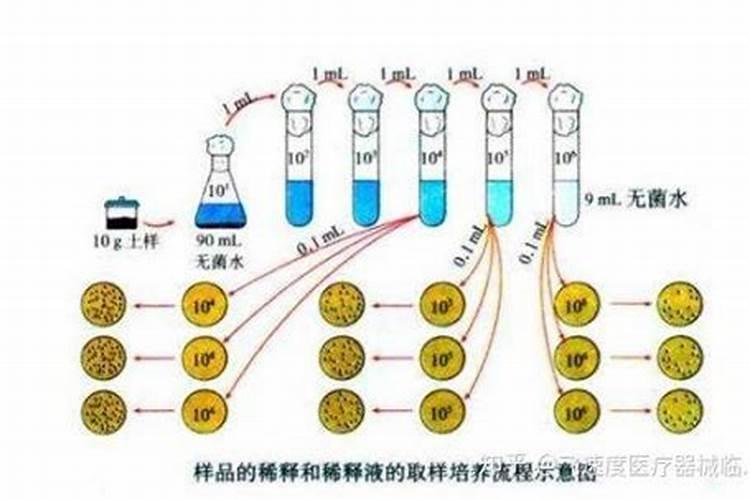 味精和醋能一起食用吗