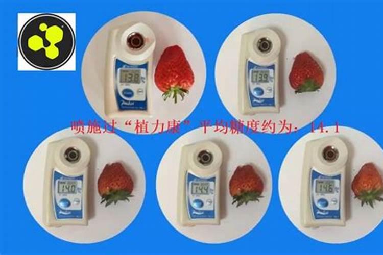 玉米什么时候打药防虫最好