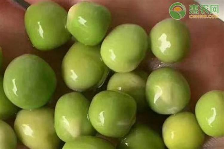 复合肥能当水溶肥用吗