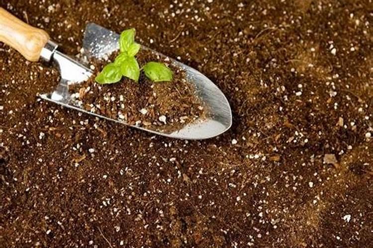 种花的时候怎么才能让土壤松软肥沃