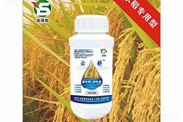 水溶肥什么牌子靠谱？