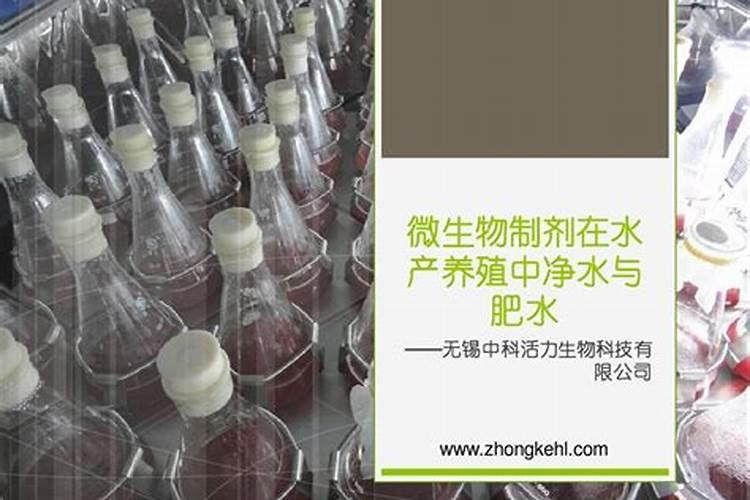 钾肥在水产养殖的作用
