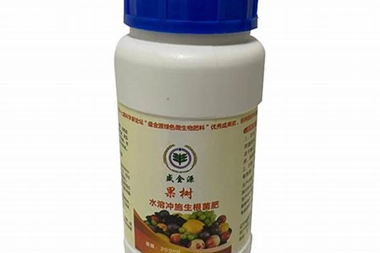 三角梅磷酸二氢钾什么时候施最好