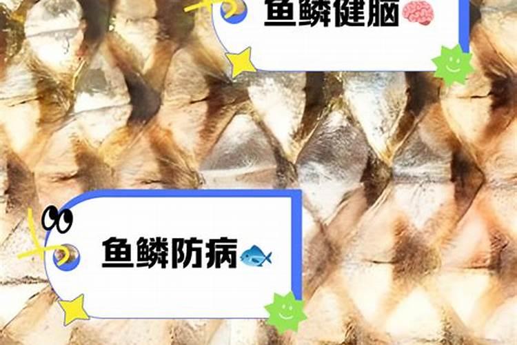 煮过鱼汤的骨头可以做花肥吗？