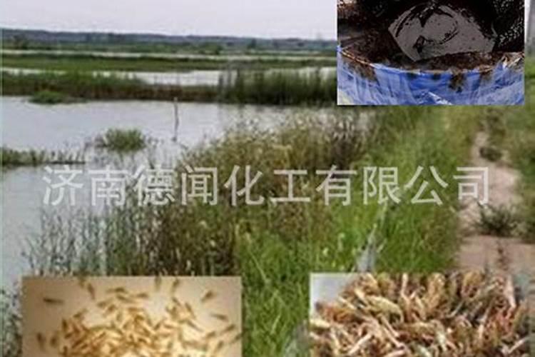 鱼蛋白肥,好的品牌有哪些？