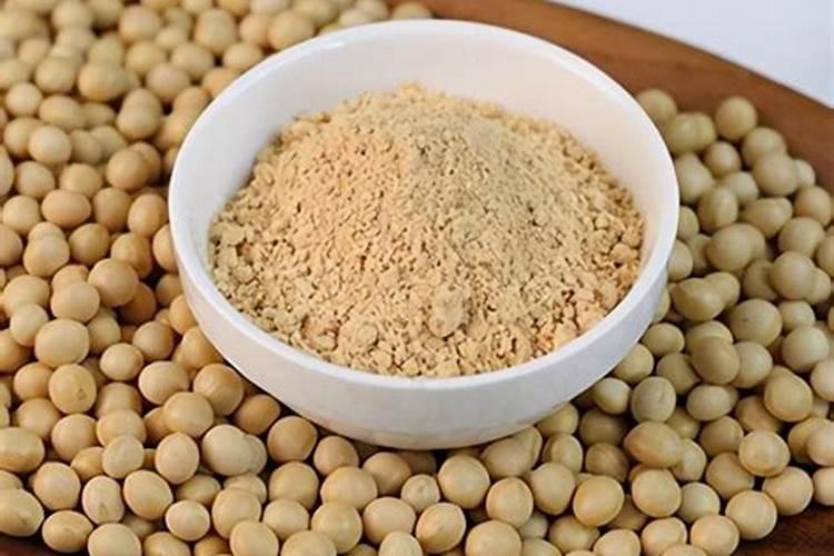 用大豆做底肥的使用方法 怎样用黄豆做肥料