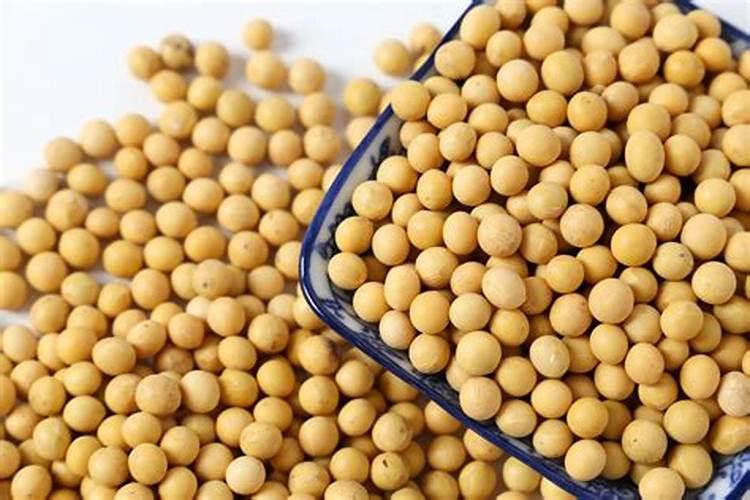 使用黄豆作为肥料有什么优缺点？正确使用才能使肥效发挥充分