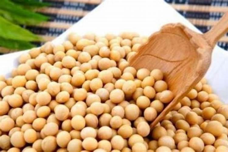 黄豆能做果树肥料吗？