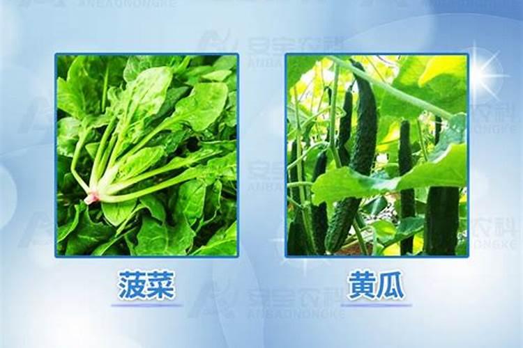养花用什么肥料最好