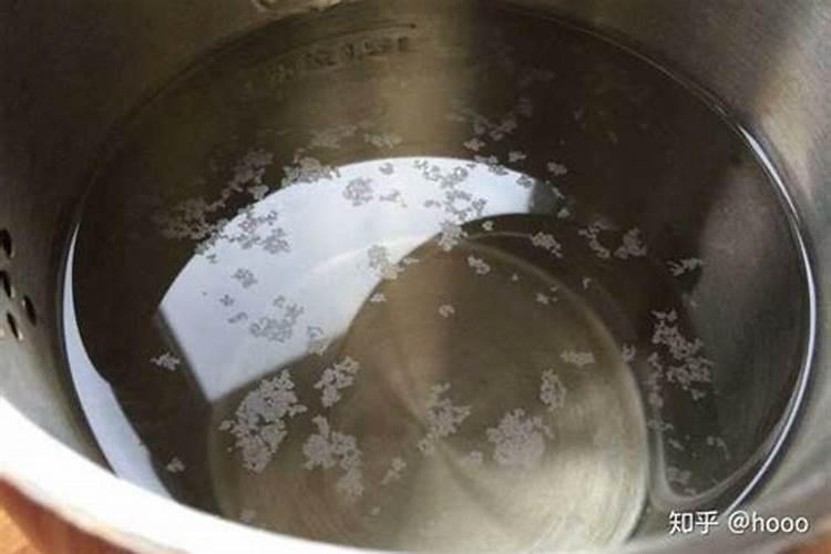 白萝卜种子种了六天,是什么样子？
