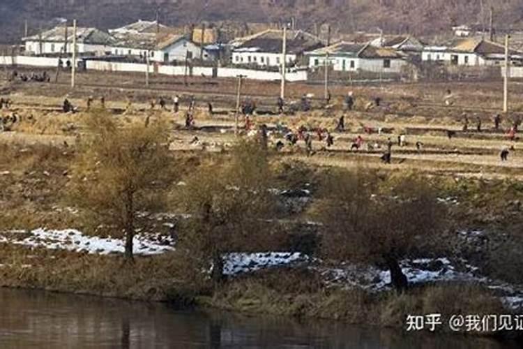 对比朝鲜和福建省,我明白了朝鲜为什么要把解决食品放在首位。百度知 ...