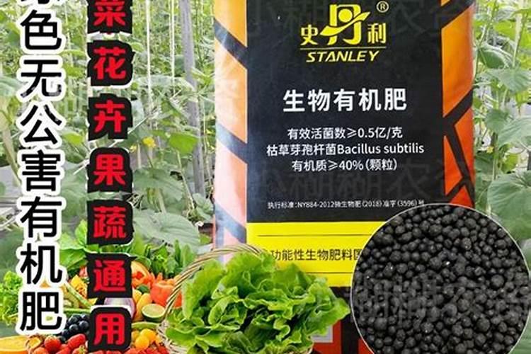 月季鱼肠底肥使用方法