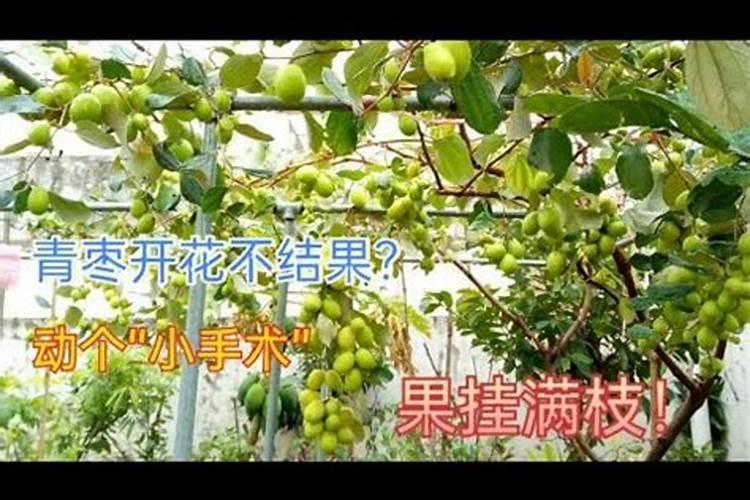番茄膨果期使用大量元素水溶肥加点啥呢