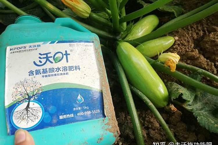 东安子鸡营养价值