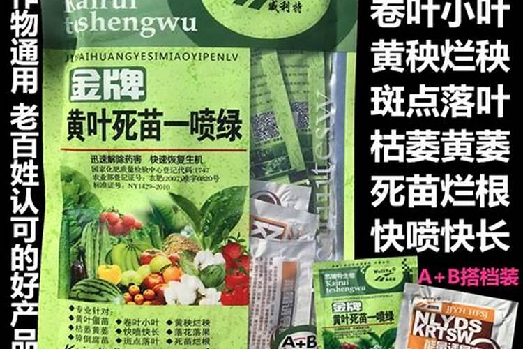 花卉叶面肥多久喷一次比较好 叶面肥打多了有害吗