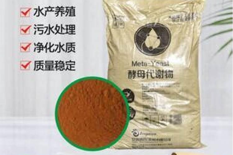 这“药片”2块钱1瓶,浇水用上片,比什么花肥都好用!