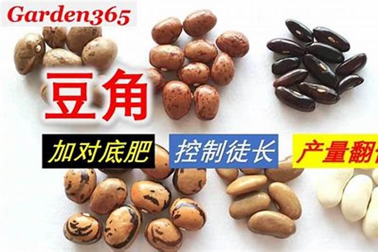 多效唑枣树栽发芽期能用吗？