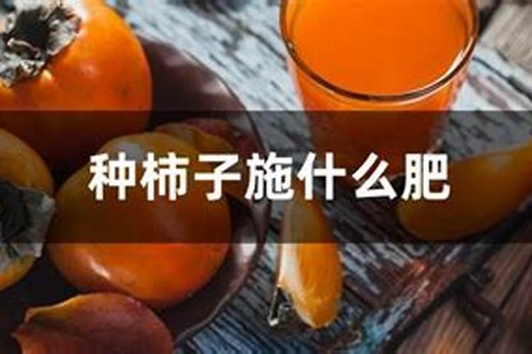 谷子长到六七十厘米高时追肥一亩地需要多少尿素？